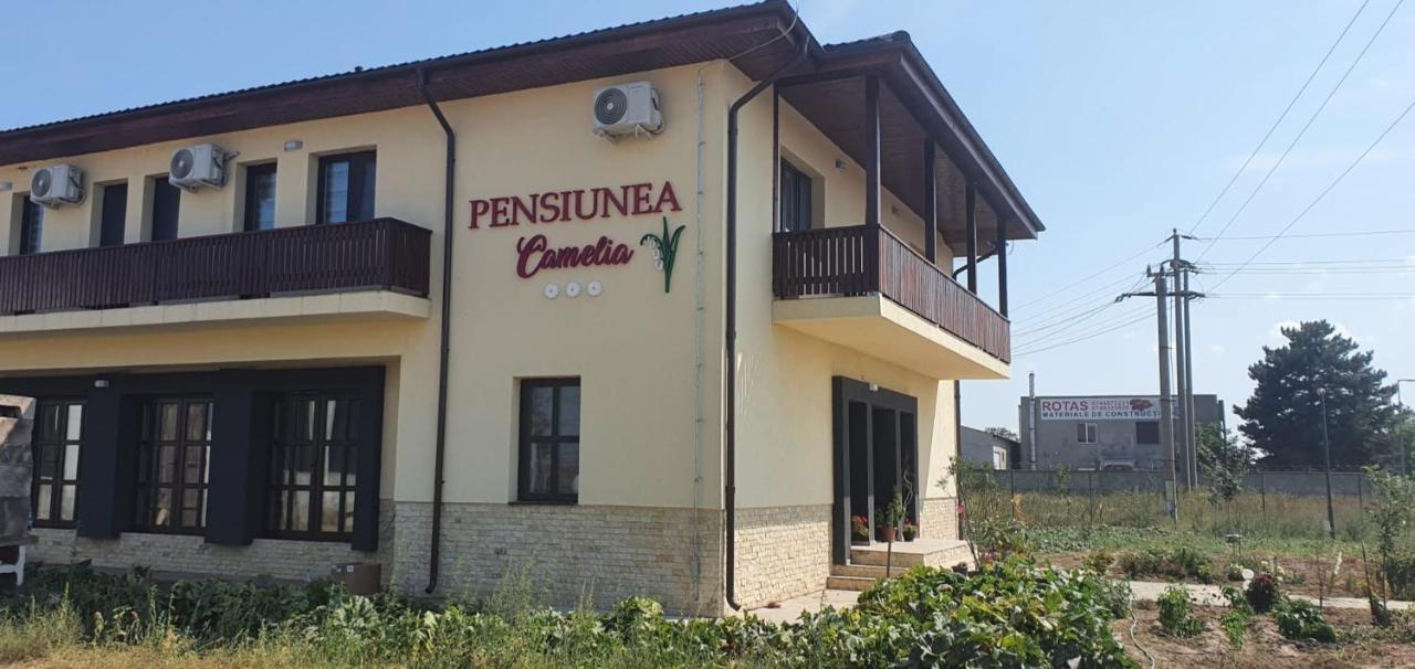Pensiunea Camelia Baia المظهر الخارجي الصورة