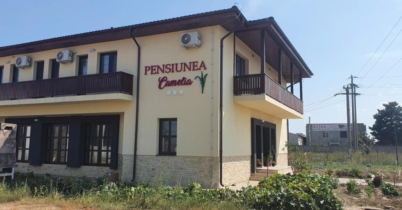 Pensiunea Camelia Baia المظهر الخارجي الصورة